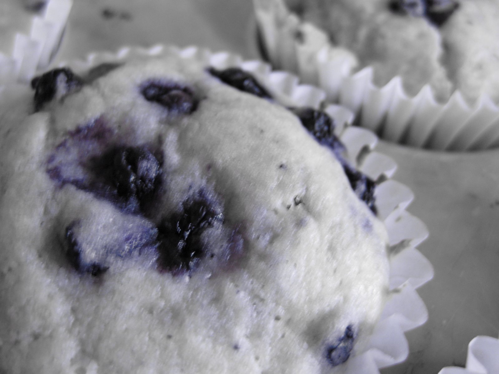 [blueberry+muffins+022.jpg]