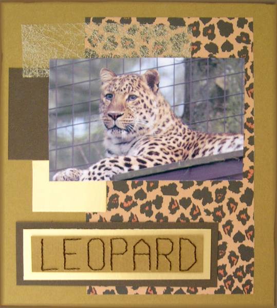 [leopard.jpg]
