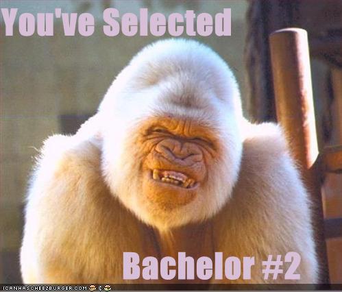 [funny-pictures-white-gorilla-bachelor1.jpg]