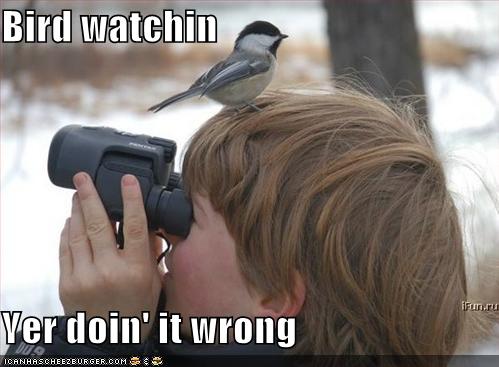 [funny-pictures-bird-on-birdwatcher-head.jpg]