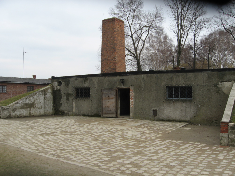 [Auschwitz4.jpg]