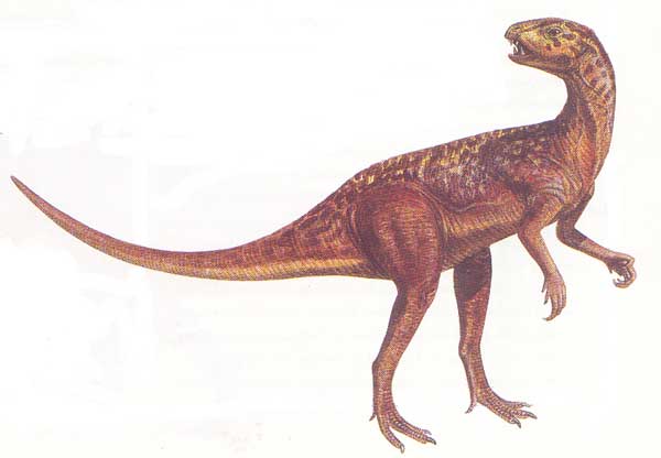 [heterodontosaurus.jpg]