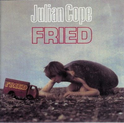 [Julian+Cope+Fried.jpg]