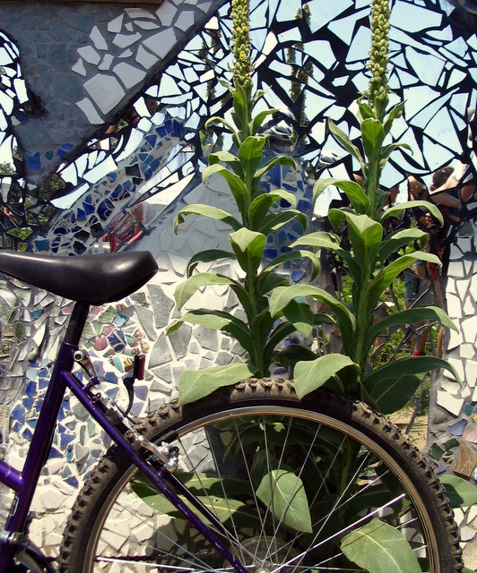 [urban+farming+bike+tour+035.jpg]