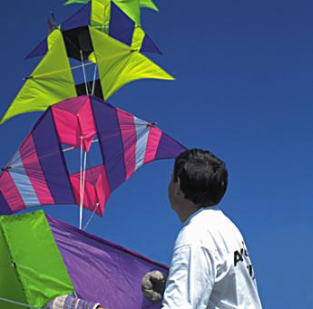 [boy-and-kite4.jpg]
