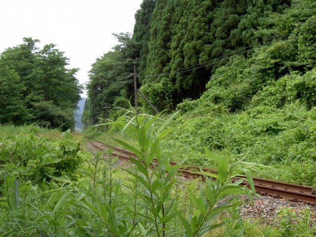 [2008-07-09+old+railroad.jpg]