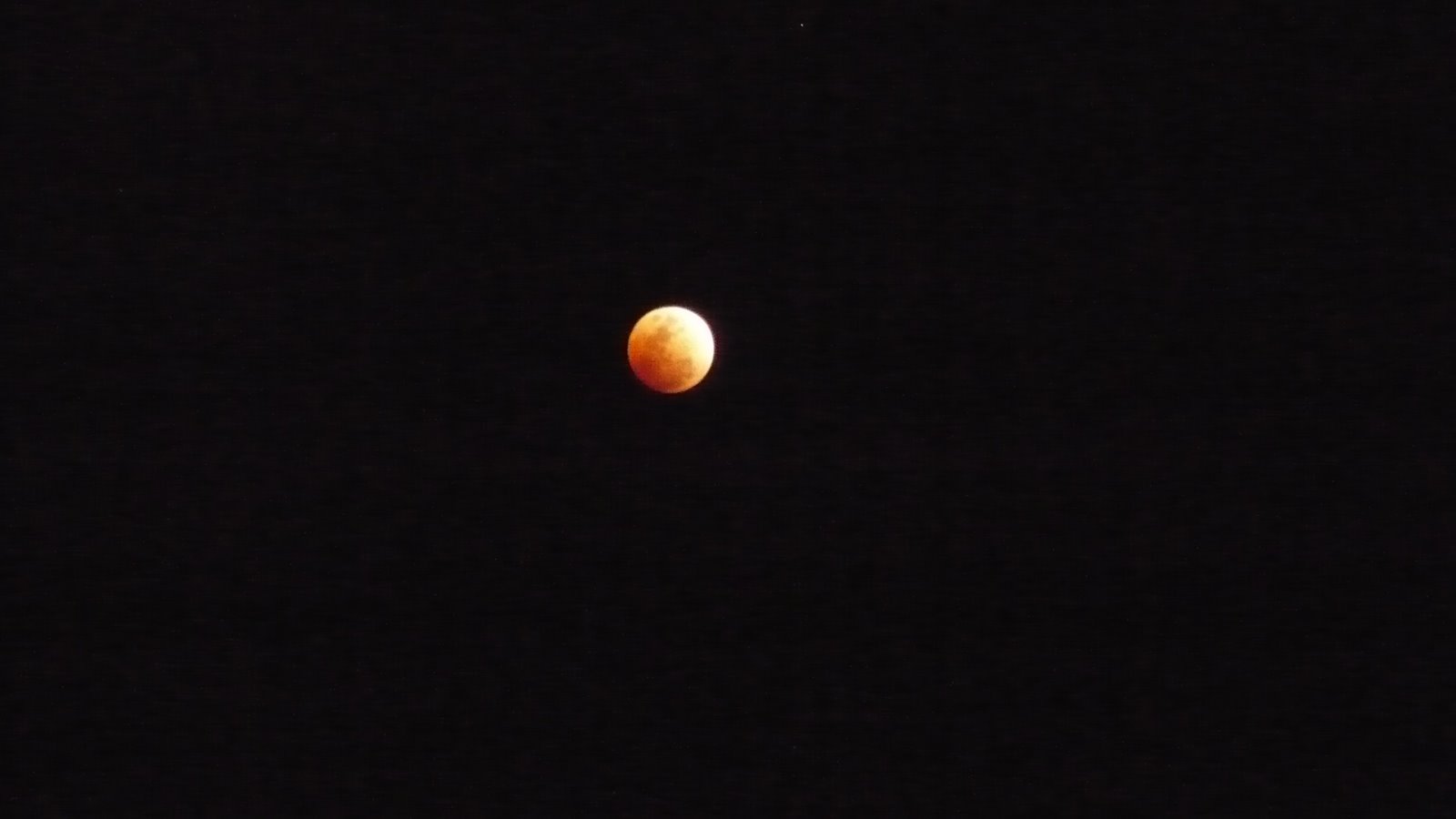 [eclipse+lunar+feb+2008+045.jpg]