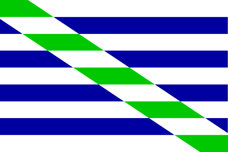 [800px-Flag_of_Cataño,_Puerto_Rico.svg.png]