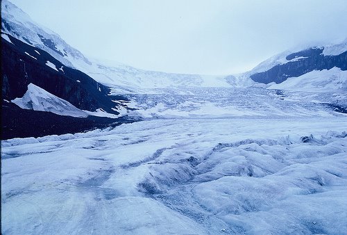 [Athabasca+Glacier+travell+1962+by+w+reed.jpg]