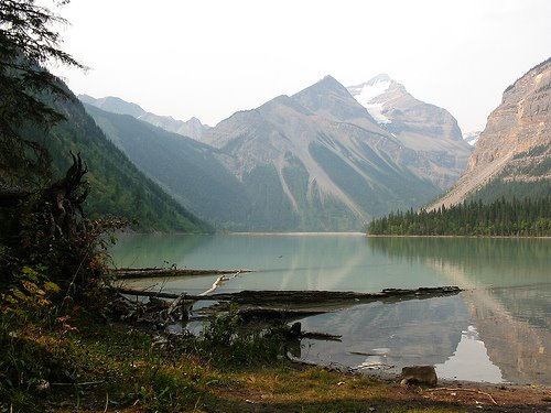 [Berg+Lake+Trail+-+Kinney+Lake+near+7km+mark+by+handslive.jpg]