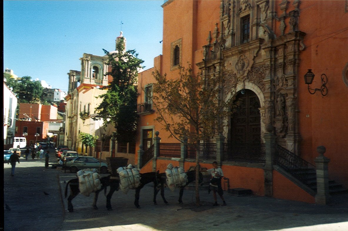 [Guanajuato+outside+don+quitixo+museum.jpg]