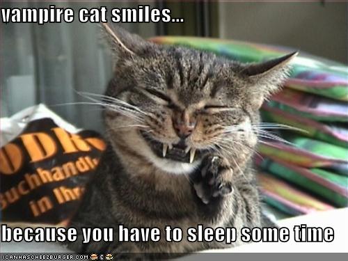 [funny-pictures-happy-vampire-cat.jpg]