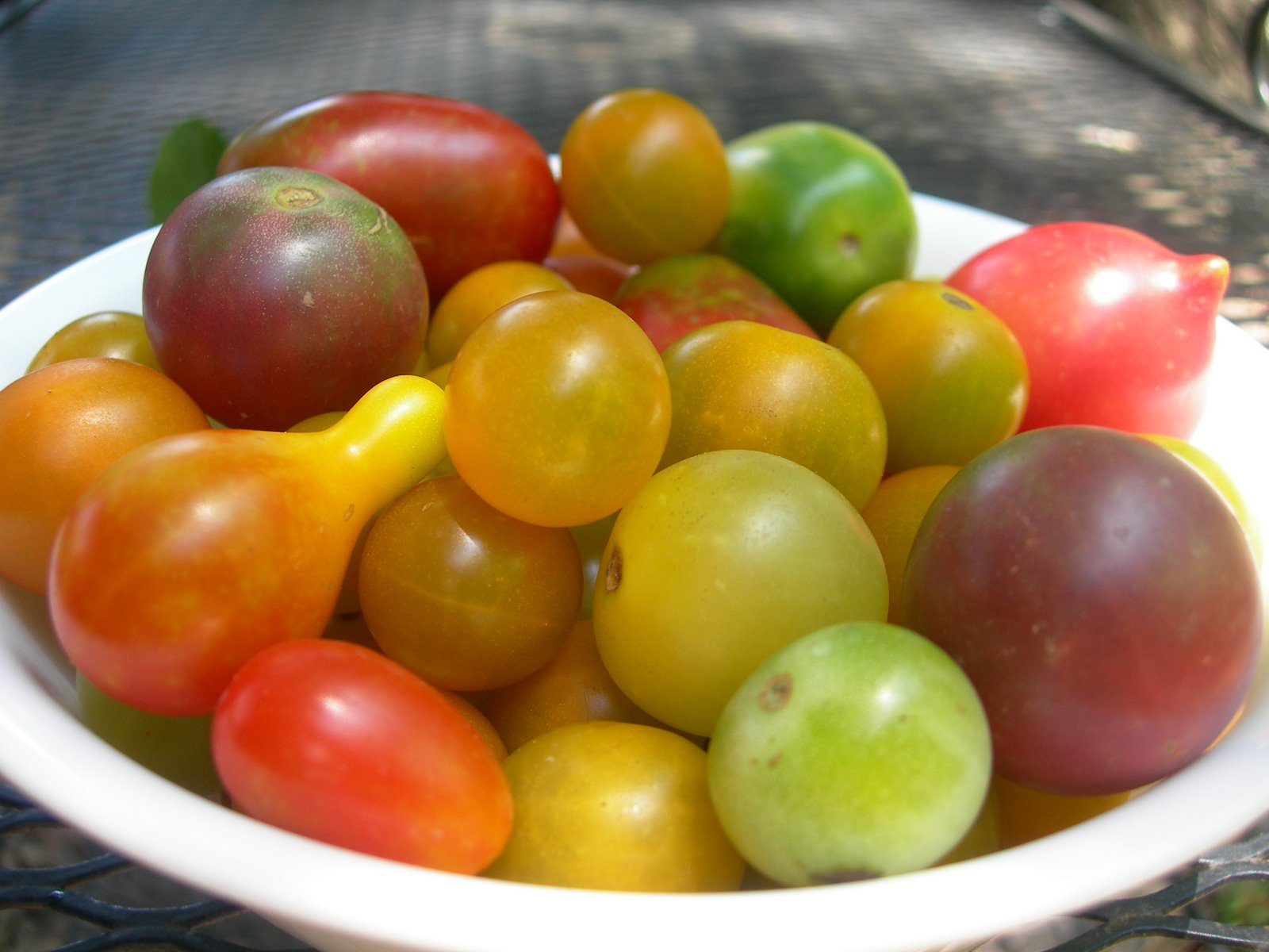 [Tomatoes.JPG]