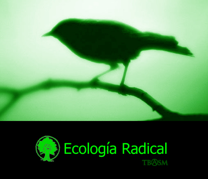 [Ecolog√≠a+R(a)dical5+TB(A)SM.jpg]