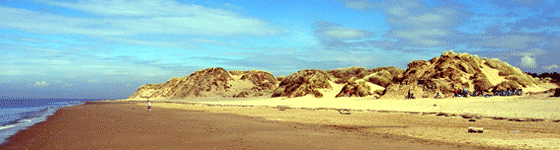 [dunes.gif]