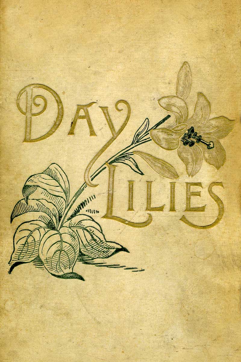 [Day+Lilies.jpg]