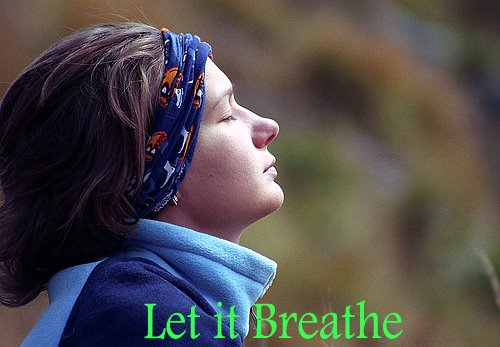 [Let+It+Breathe2+copy.jpg]