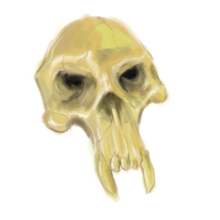 [skull.JPG]