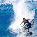 [Surfing8.gif]