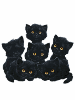 [Cats_Black.gif]