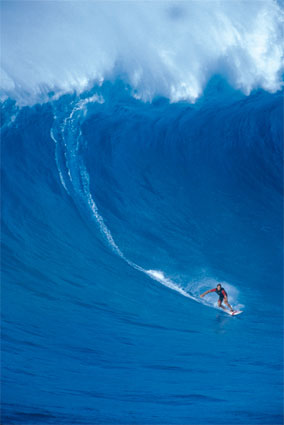 [Surfer.jpg]