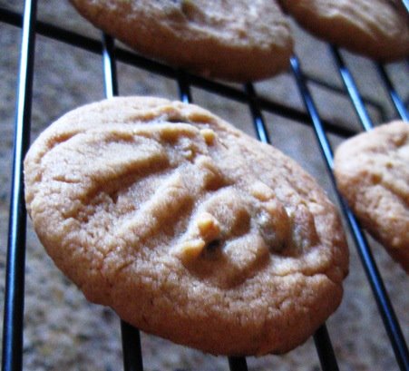 [pb+cookies+baked.jpg]