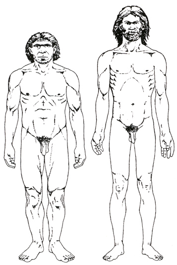 [homo+sapiens+++neanderthaler.jpg]