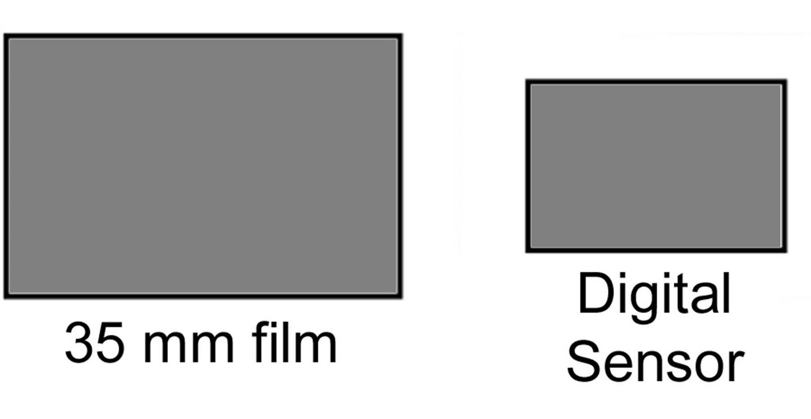 [Digtial+Camera+Sensor+vs+35mm.jpg]