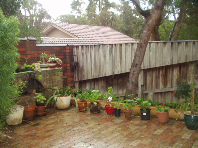 [Rainy+day+back+yard.JPG]