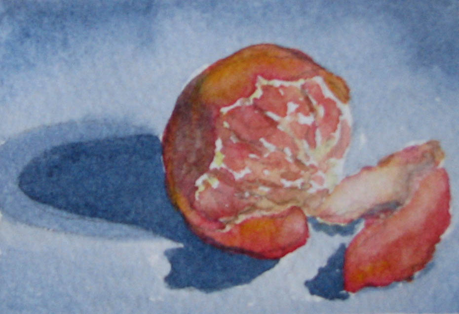 [205-Mini-Painting+50+(Peeled+Clementine).jpg]