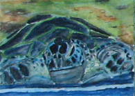 [029-Mini-Painting+026+(NZ+Turtle).jpg]