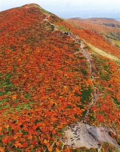 [Autumn+Ridge.jpg]