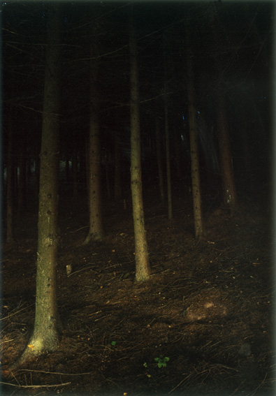 [JHA15_Morning_Dust_Jitka_Hanzlova+Untitled+forest+series+15.jpg]