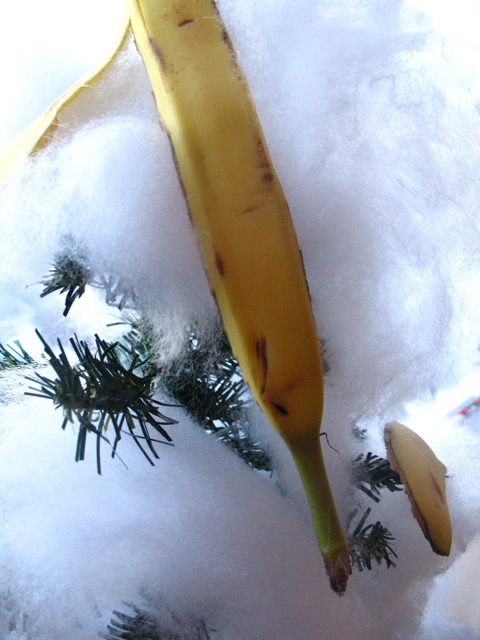 [banana+tree.jpg]