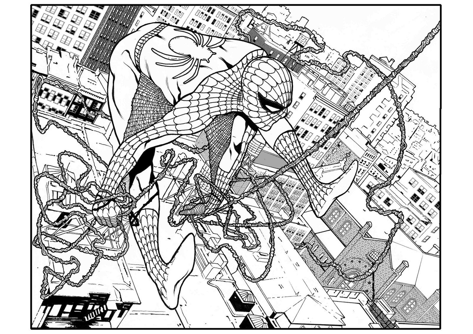 [spiderman+bn.jpg]
