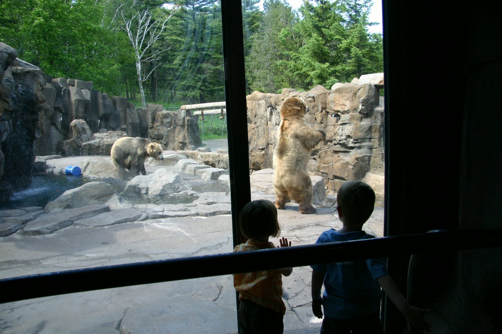 [kiddos+and+zoo+bears.jpg]