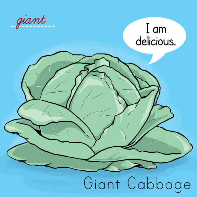 [Cabbage.jpg]