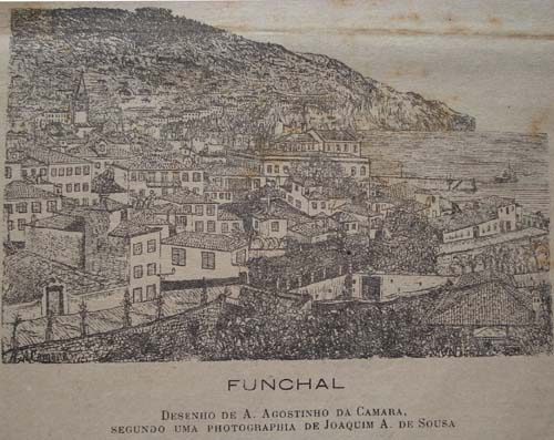 [Funchal_19012.jpg]