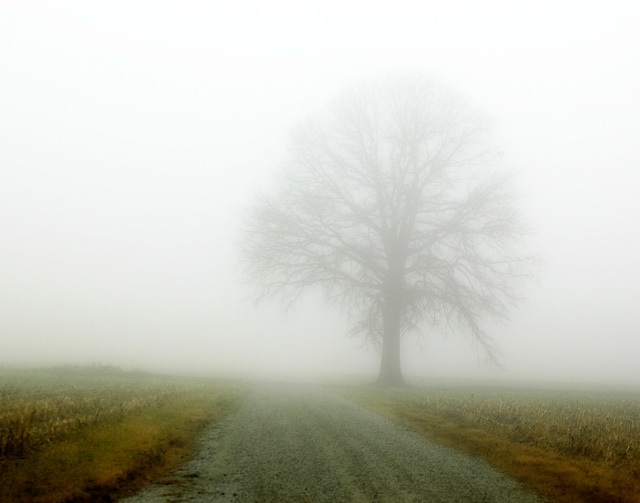 [Fog+Road.jpg]