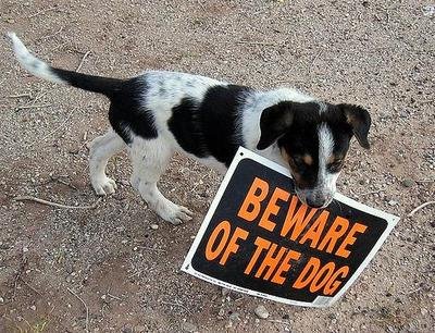 [beware-of-the-puppy-dog.jpg]