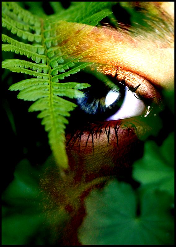 [Jungle+Eye.jpg]