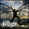 [Wings3.jpg]