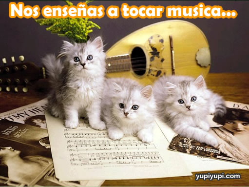 [gatitos-aprenden-tocar-musica1.jpg]