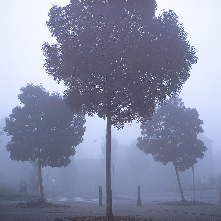 [brouillard.jpg]