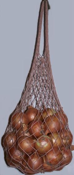 [onion-bag-in-kitchen-tinyphoto.jpg]