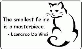 cat graphic The smallest feline is a masterpiece. Leonardo Davinci