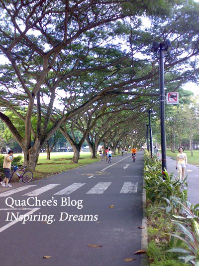 east coast park, singapore, lane for jogging & cycling