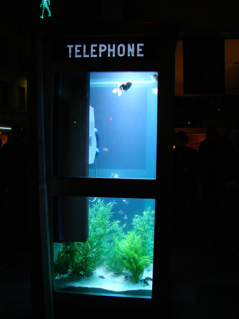 [telephone+aquarium.jpg]