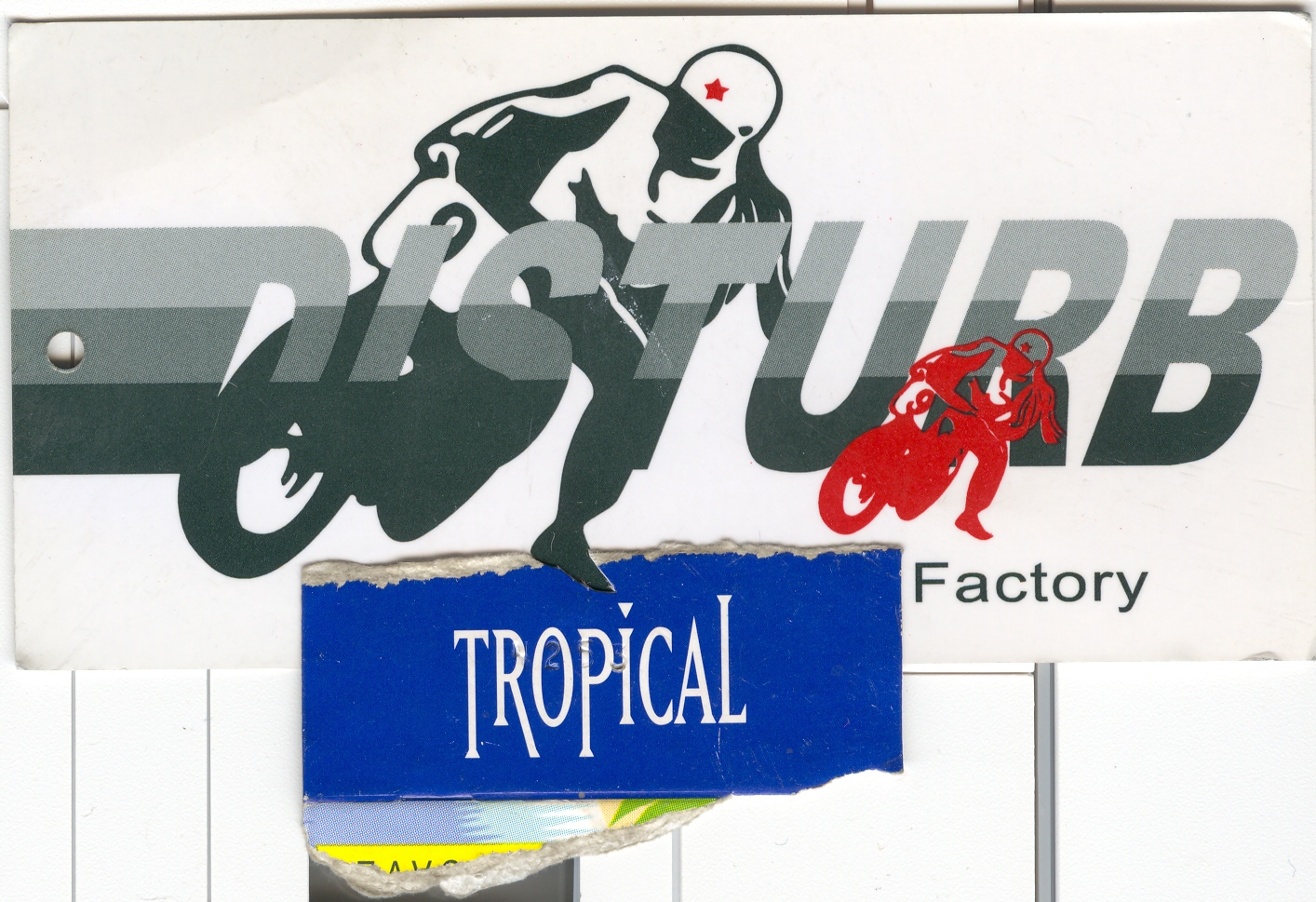 [vs+tropical+factory.jpg]