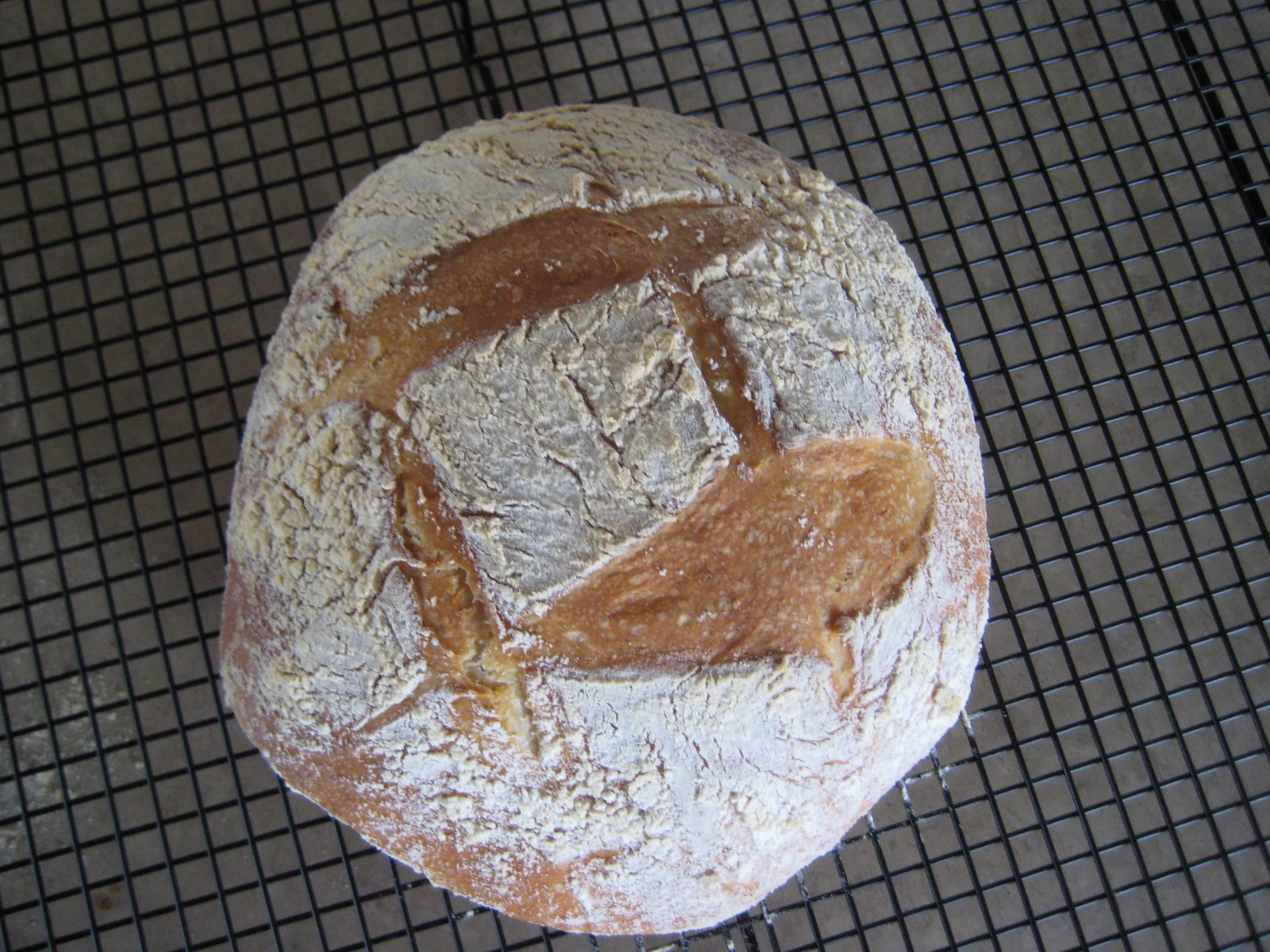 [bread+002.JPG]